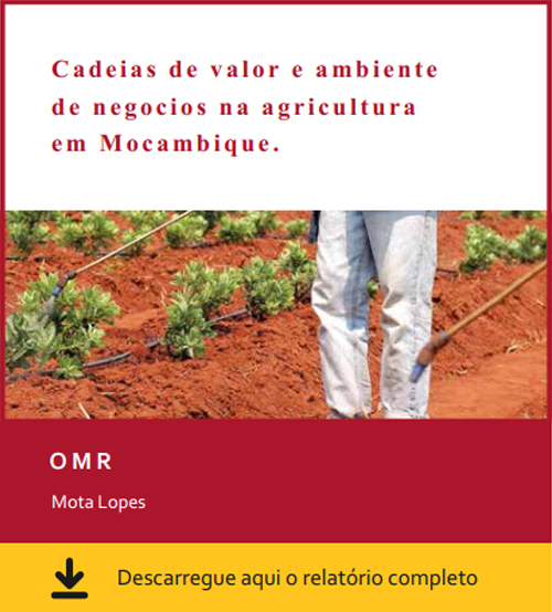 cadeias de valor e ambiente de negocios na agricura